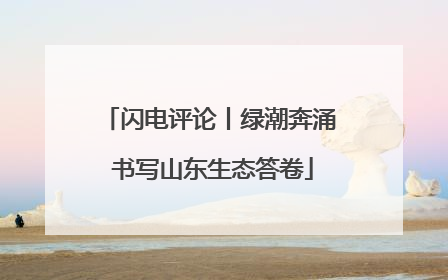 闪电评论丨绿潮奔涌 书写山东生态答卷