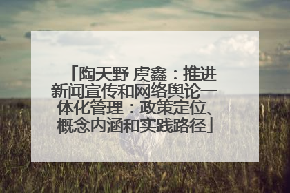 陶天野 虞鑫：推进新闻宣传和网络舆论一体化管理：政策定位、概念内涵和实践路径