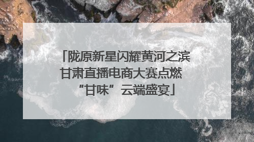 陇原新星闪耀黄河之滨 甘肃直播电商大赛点燃“甘味”云端盛宴