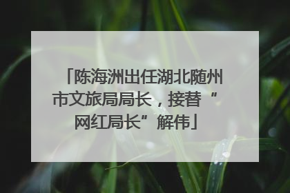 陈海洲出任湖北随州市文旅局局长，接替“网红局长”解伟
