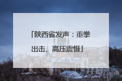 陕西省发声：重拳出击、高压震慑