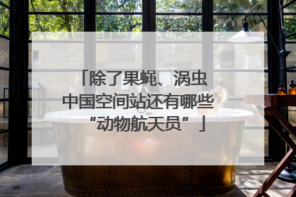 除了果蝇、涡虫 中国空间站还有哪些“动物航天员”