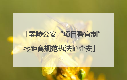 零陵公安“项目警官制”零距离规范执法护企安