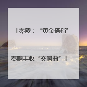 零陵：“黄金搭档”奏响丰收“交响曲”