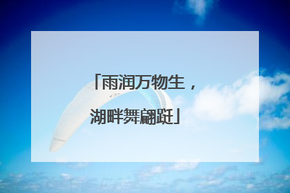 雨润万物生，湖畔舞翩跹
