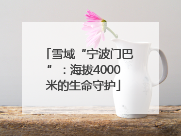 雪域“宁波门巴”：海拔4000米的生命守护