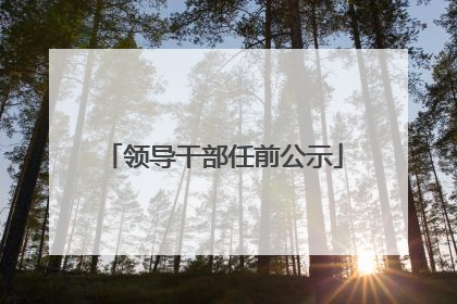 领导干部任前公示