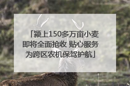 颍上150多万亩小麦即将全面抢收 贴心服务为跨区农机保驾护航