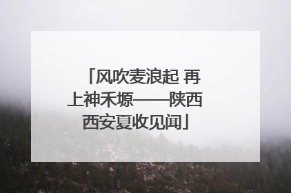 风吹麦浪起 再上神禾塬——陕西西安夏收见闻