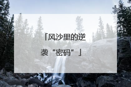 风沙里的逆袭“密码”
