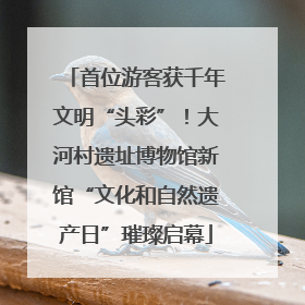 首位游客获千年文明“头彩”！大河村遗址博物馆新馆“文化和自然遗产日”璀璨启幕