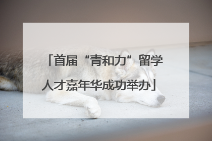 首届“青和力”留学人才嘉年华成功举办