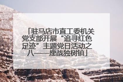 驻马店市直工委机关党支部开展“追寻红色足迹”主题党日活动之八——鏖战独树镇