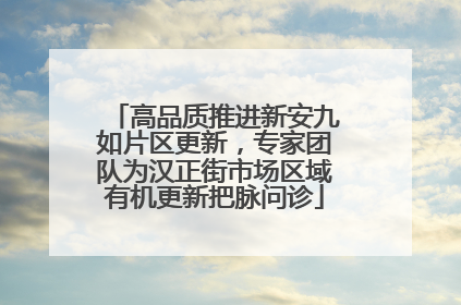 高品质推进新安九如片区更新，专家团队为汉正街市场区域有机更新把脉问诊