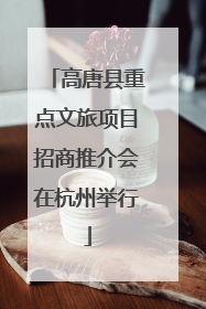 高唐县重点文旅项目招商推介会在杭州举行