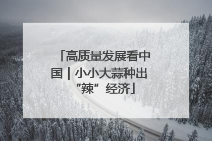 高质量发展看中国｜小小大蒜种出“辣”经济