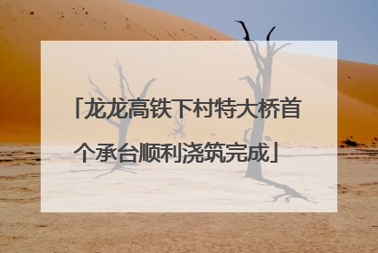龙龙高铁下村特大桥首个承台顺利浇筑完成