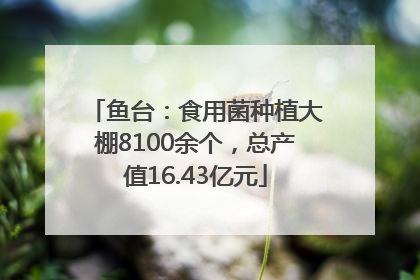 鱼台：食用菌种植大棚8100余个，总产值16.43亿元