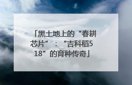 黑土地上的“春耕芯片”：“吉科稻518”的育种传奇