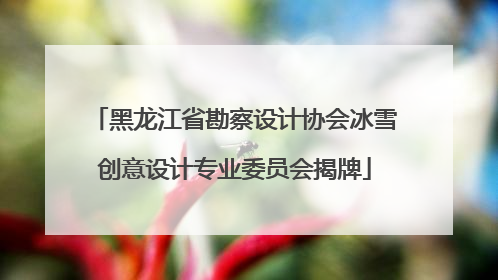 黑龙江省勘察设计协会冰雪创意设计专业委员会揭牌