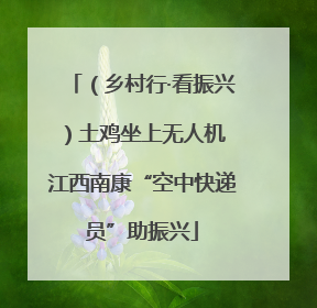 （乡村行·看振兴）土鸡坐上无人机 江西南康“空中快递员”助振兴