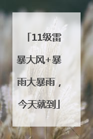 11级雷暴大风+暴雨大暴雨，今天就到