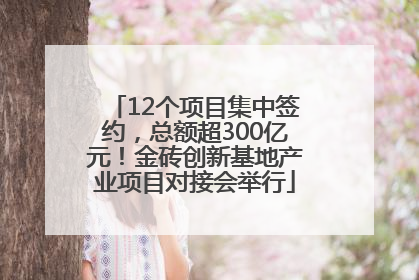 12个项目集中签约，总额超300亿元！金砖创新基地产业项目对接会举行