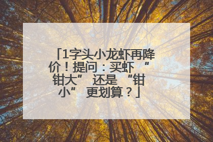 1字头小龙虾再降价！提问：买虾 “钳大” 还是 “钳小” 更划算？