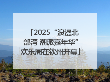 2025“浪漫北部湾 潮派嘉年华”欢乐周在钦州开幕