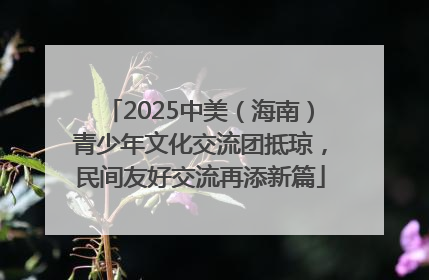 2025中美（海南）青少年文化交流团抵琼，民间友好交流再添新篇