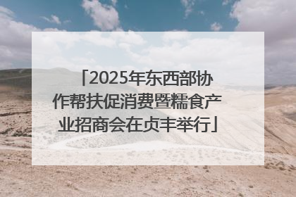 2025年东西部协作帮扶促消费暨糯食产业招商会在贞丰举行