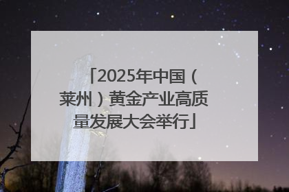 2025年中国（莱州）黄金产业高质量发展大会举行