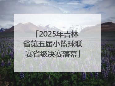 2025年吉林省第五届小篮球联赛省级决赛落幕