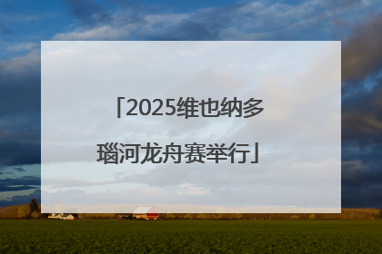 2025维也纳多瑙河龙舟赛举行