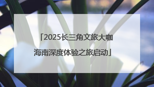 2025长三角文旅大咖海南深度体验之旅启动