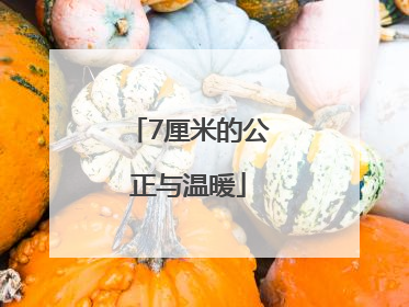 7厘米的公正与温暖