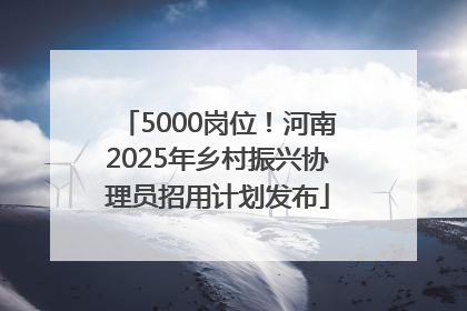 5000岗位！河南2025年乡村振兴协理员招用计划发布