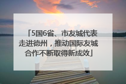 5国6省、市友城代表走进德州，推动国际友城合作不断取得新成效