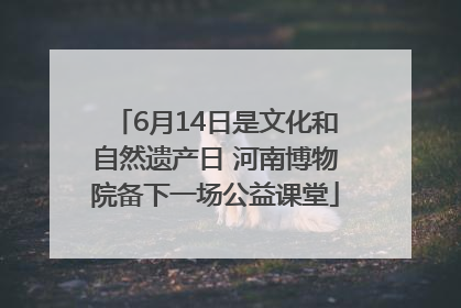 6月14日是文化和自然遗产日 河南博物院备下一场公益课堂