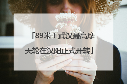 89米！武汉最高摩天轮在汉阳正式开转