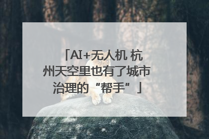 AI+无人机 杭州天空里也有了城市治理的“帮手”