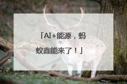 AI+能源，蚂蚁鑫能来了！