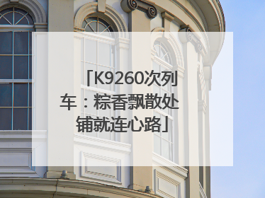 K9260次列车：粽香飘散处 铺就连心路